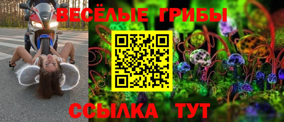 Галлюциногенные грибы ЛСД  Галлюциногенные грибы GOLDEN TEACHER  Вход с VPN  Верхний Уфалей 
